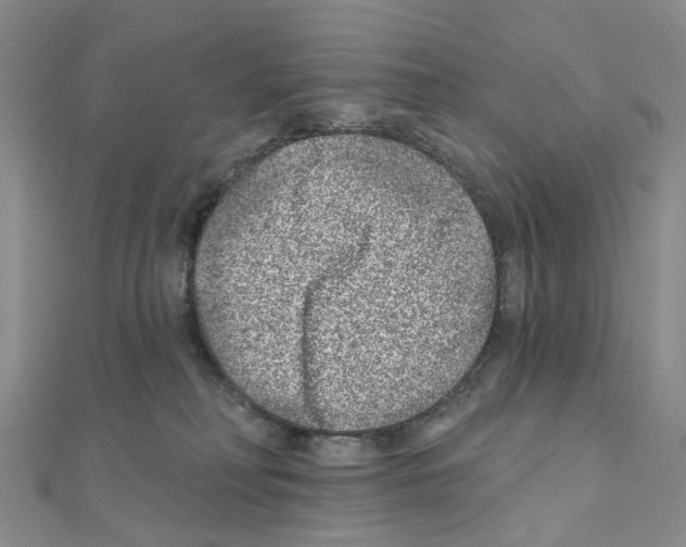 X0000110880230200907301441