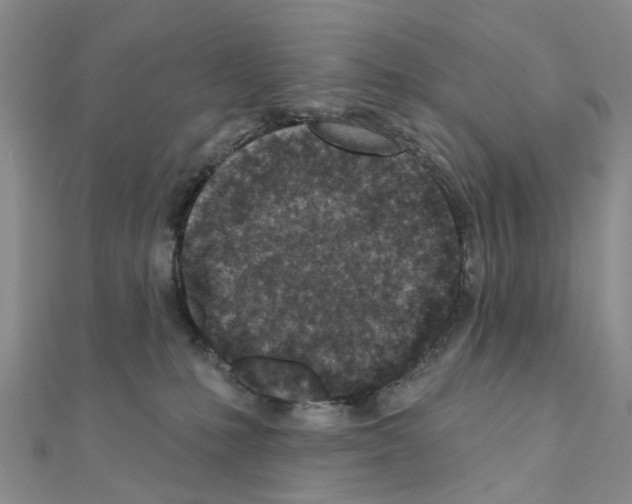 X0000110880231200907301441