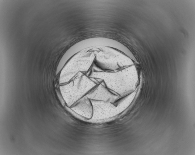 X0000110880235200907301441