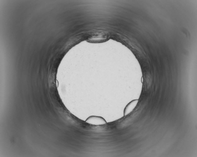 X0000110880236200907301441