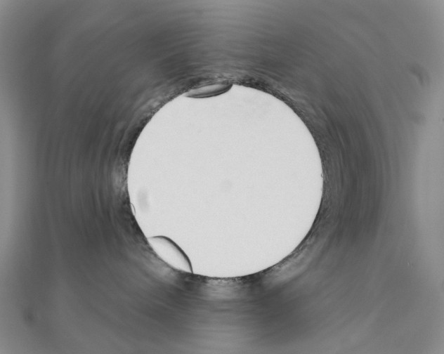 X0000110880240200907301441