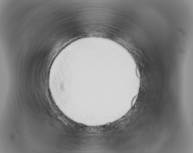 X0000110880241200907301440