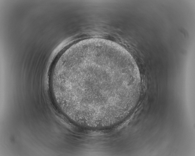 X0000110880246200907301440