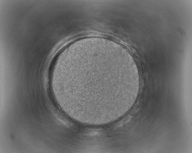 X0000110880247200907301440