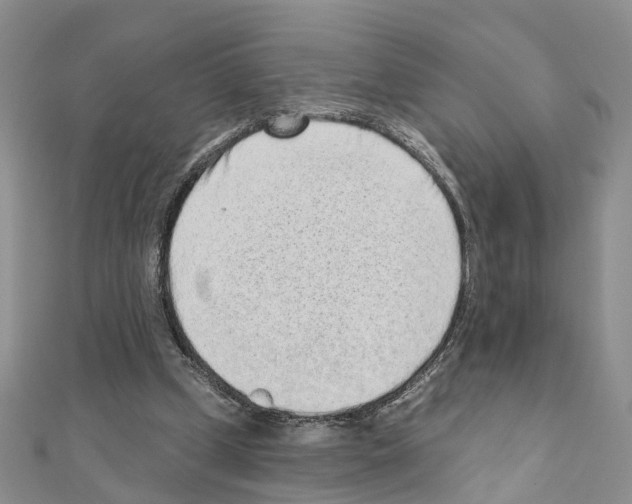 X0000110880249200907301440