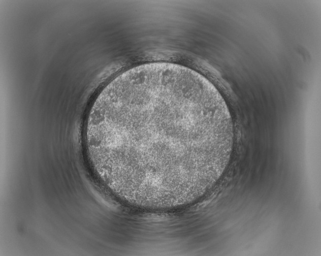 X0000110880250200907301440