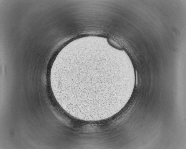 X0000110880252200907301440