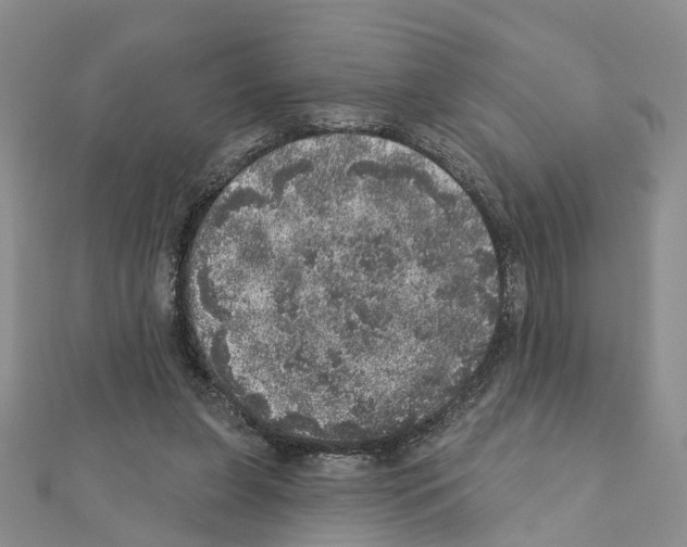 X0000110880255200907301440