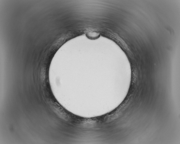 X0000110880257200907301440