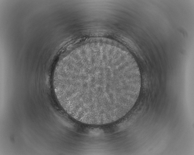 X0000110880258200907301440