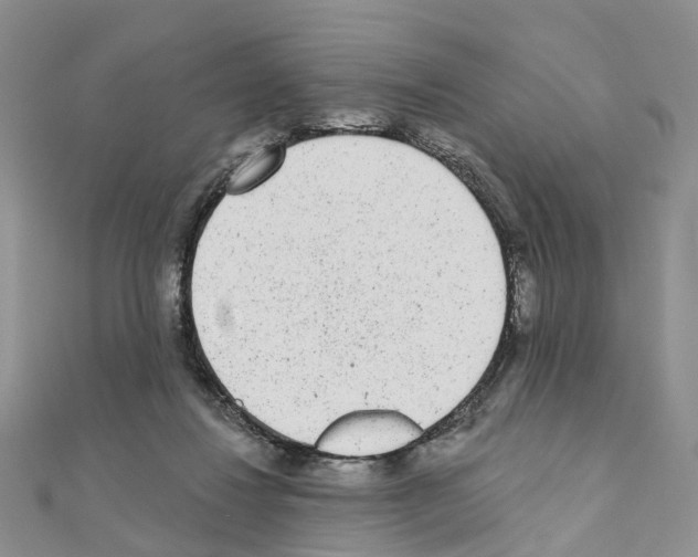 X0000110880260200907301440