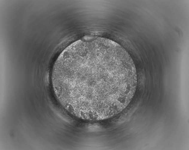 X0000110880262200907301440