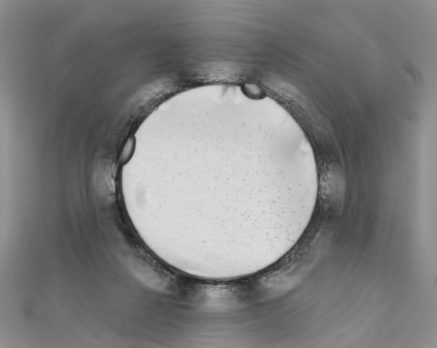 X0000110880264200907301440