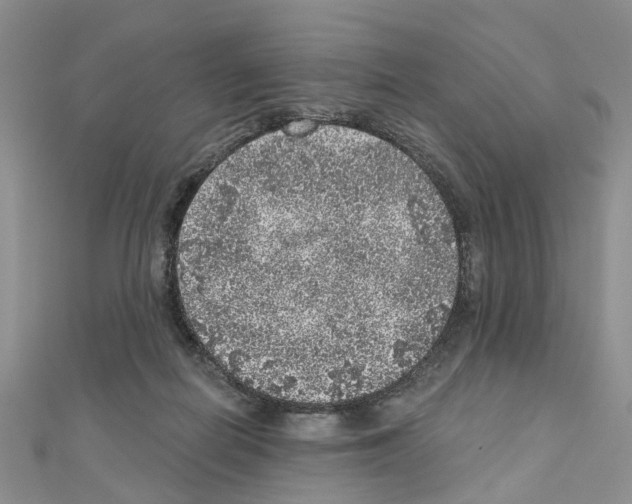 X0000110880266200907301440