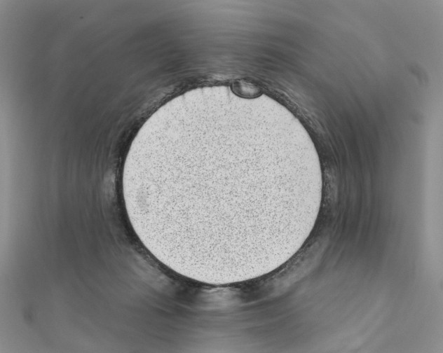 X0000110880269200907301440