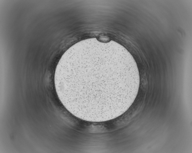 X0000110880270200907301440