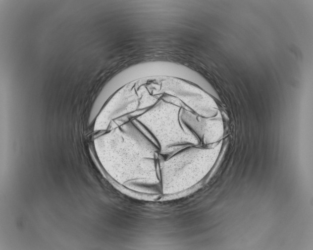 X0000110880272200907301440