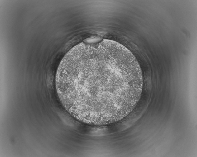 X0000110880274200907301440