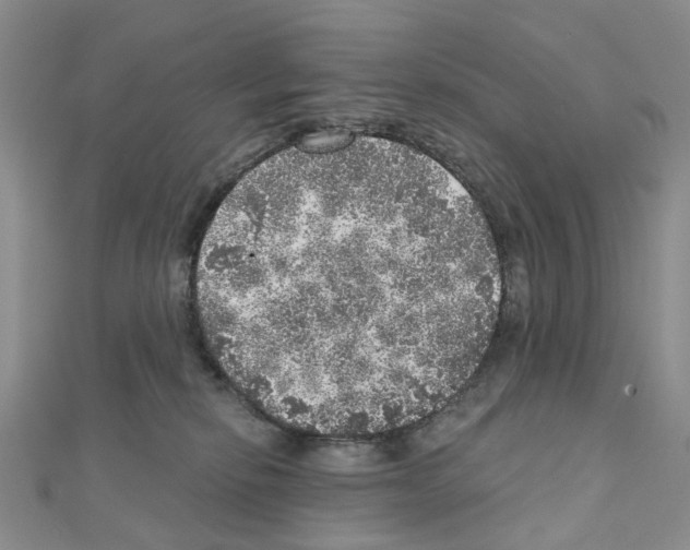 X0000110880278200907301440