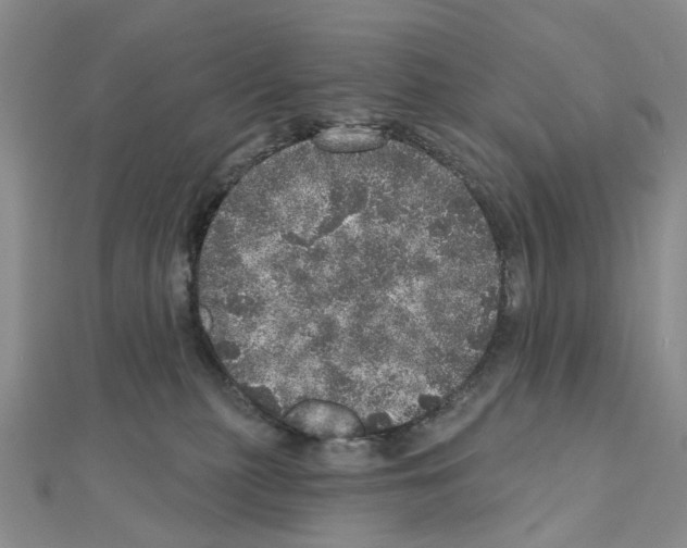 X0000110880279200907301440