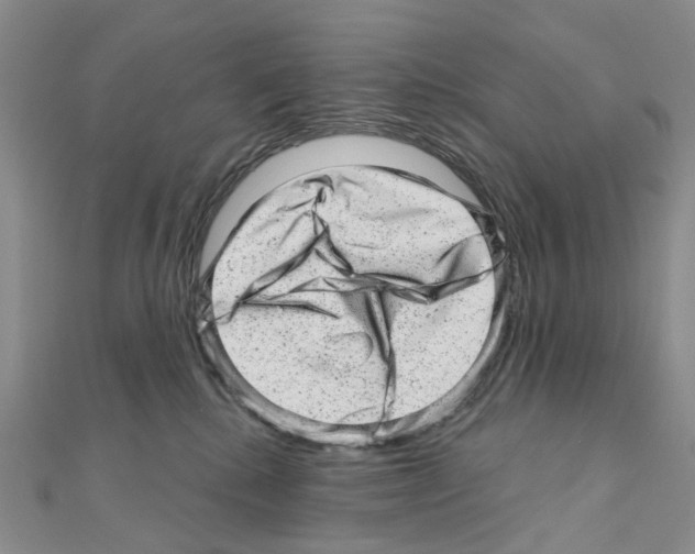 X0000110880280200907301440