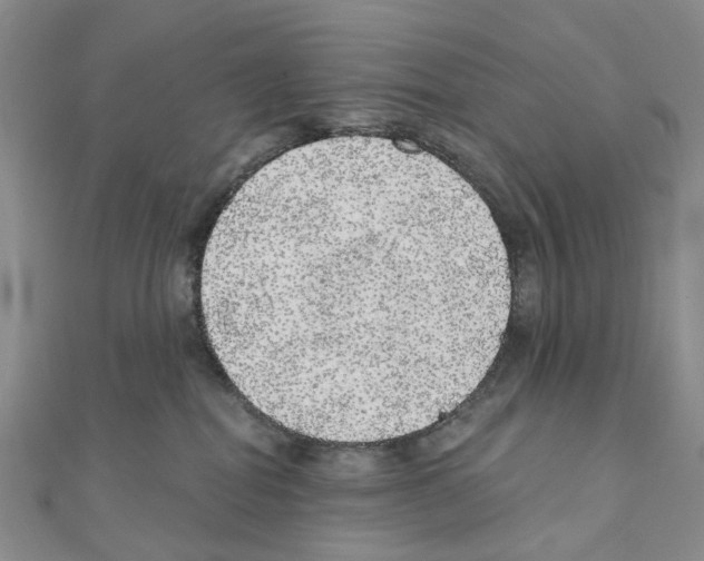 X0000110880282200907301441