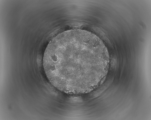 X0000110880283200907301441