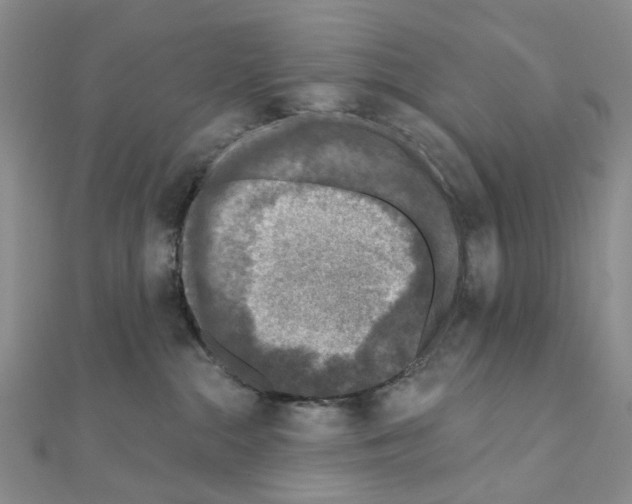 X0000110880284200907301441