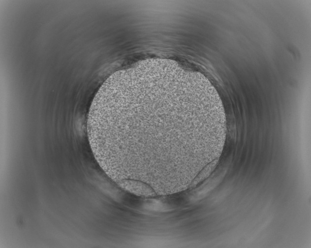 X0000110880285200907301441