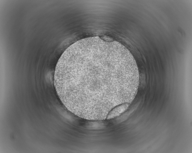 X0000110880286200907301441