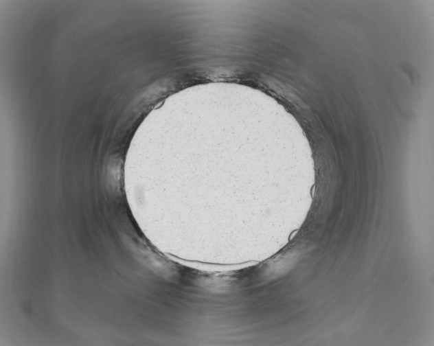 X0000110880288200907301441