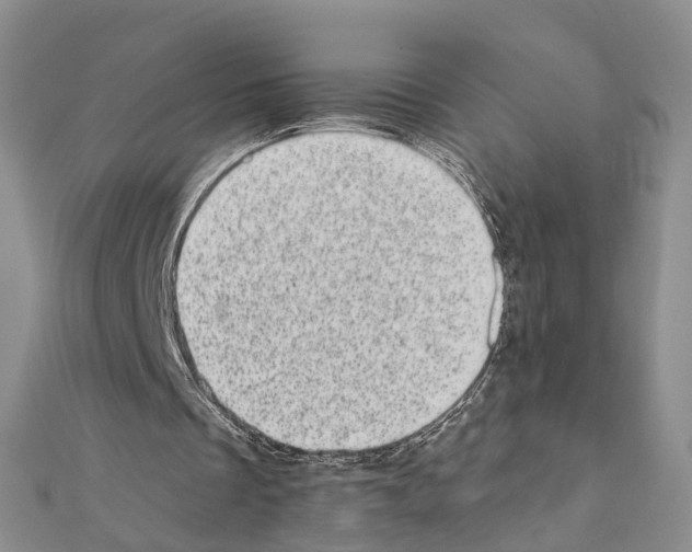 X0000110880289200907301440