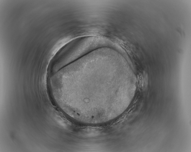 X0000110880292200907301440