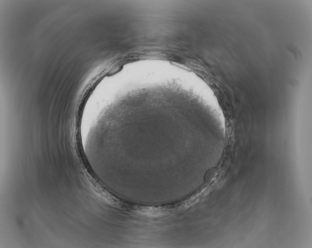 X0000110880293200907301440