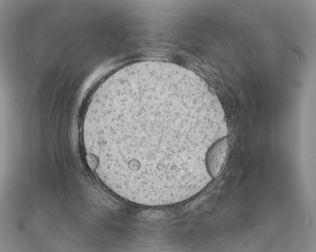 X0000110880294200907301440