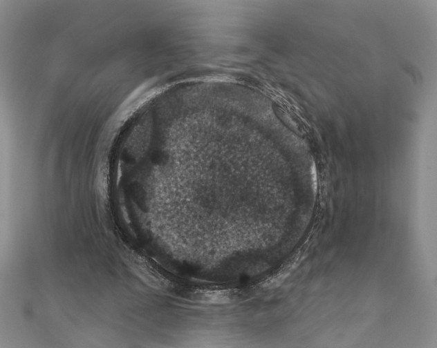 X0000110880295200907301440