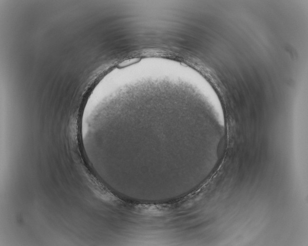 X0000110880297200907301440