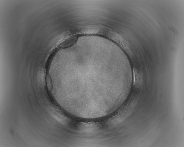 X0000110880300200907301440