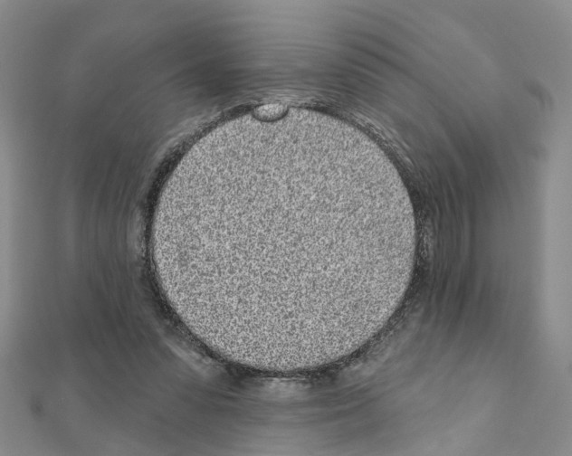 X0000110880303200907301440