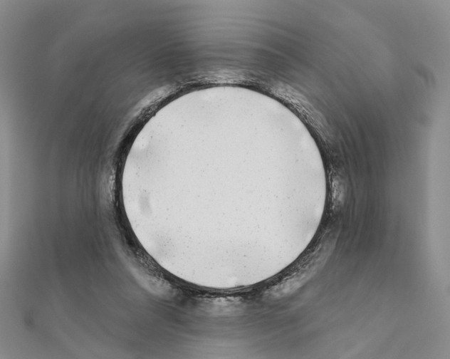 X0000110880304200907301440