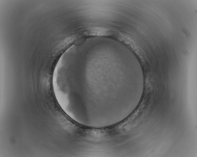 X0000110880305200907301440