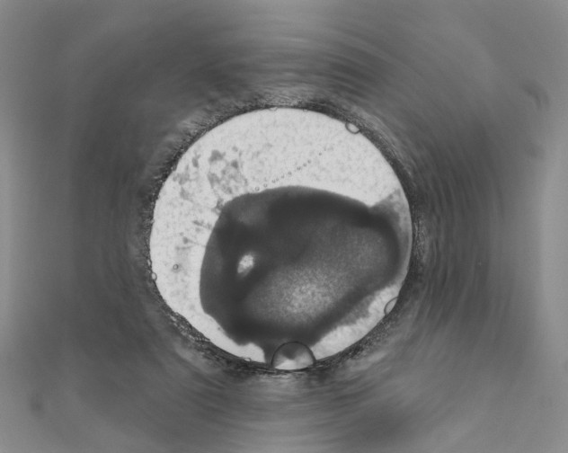 X0000110880307200907301440