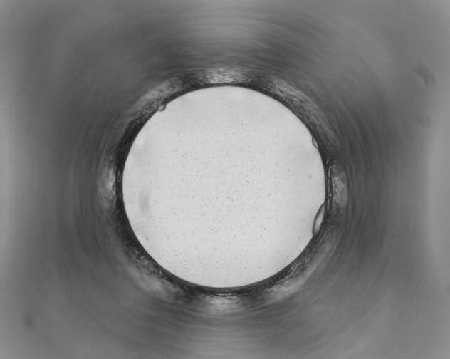 X0000110880308200907301440