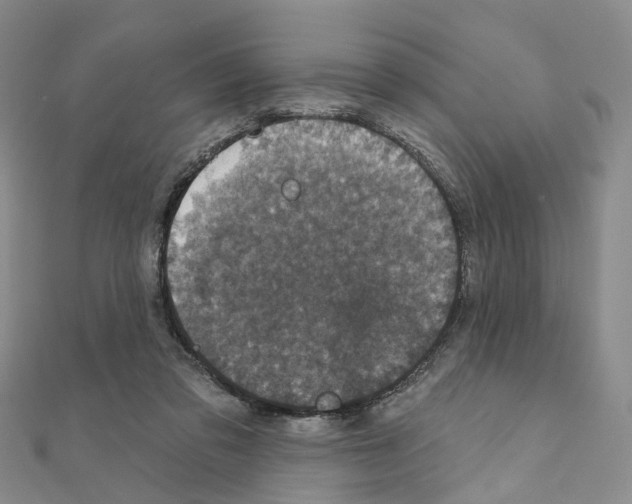 X0000110880309200907301440