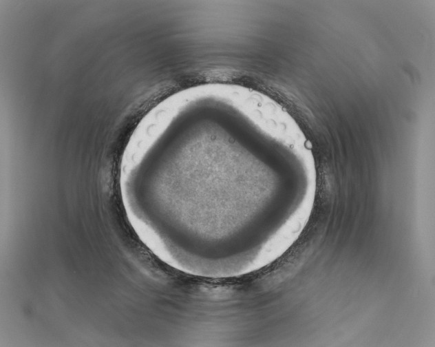 X0000110880311200907301440