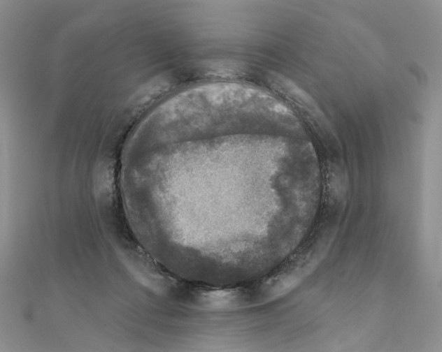 X0000110880312200907301439