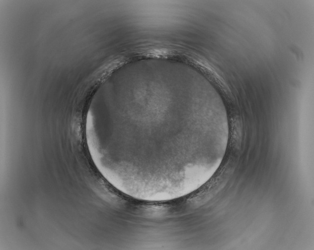 X0000110880313200907301439