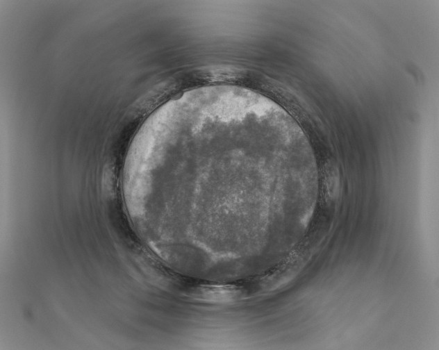 X0000110880316200907301439