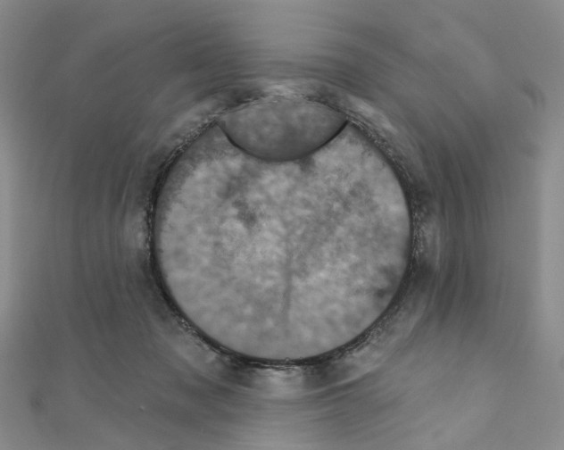 X0000110880317200907301439