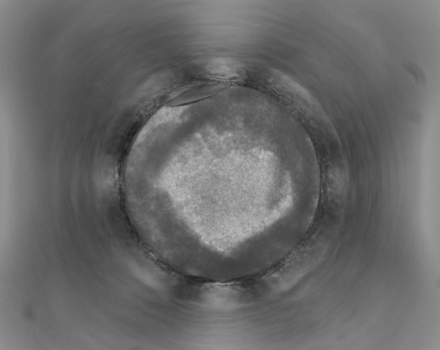 X0000110880320200907301439